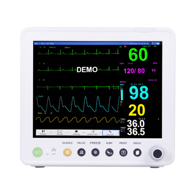 De draagbare Handbediende Monitor van de Multiparameter Geduldige Monitor voor Kliniek