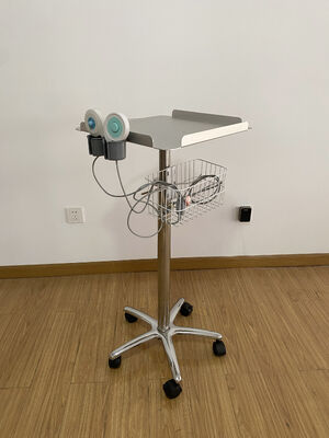 Draagbare draagbare ultrasound scanner met metalen materiaal en modern ontwerp voor ziekenhuisgebruik